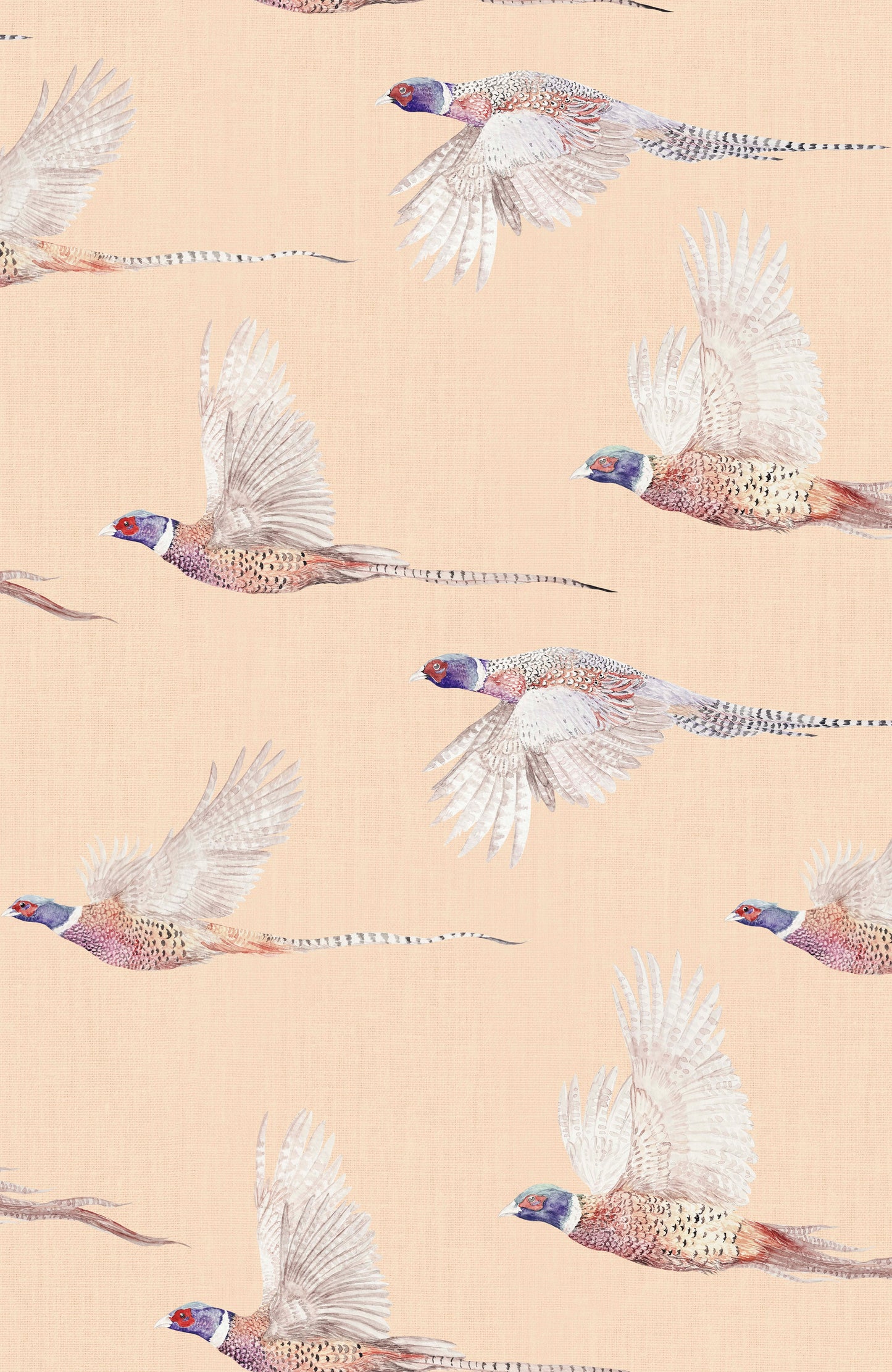 Flight - Pheasant Wallpaper
