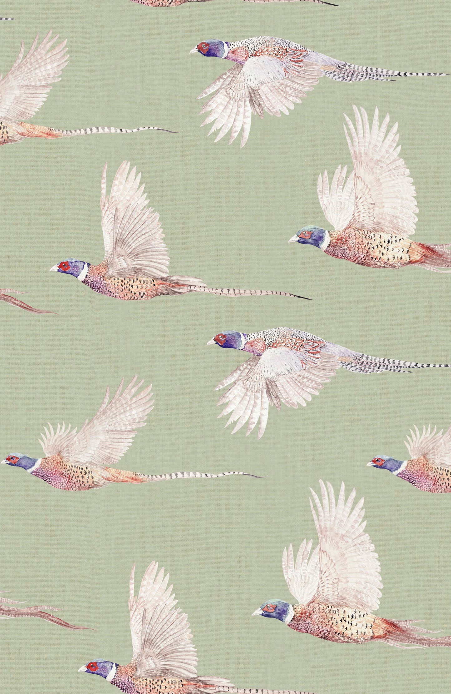 Flight - Pheasant Wallpaper