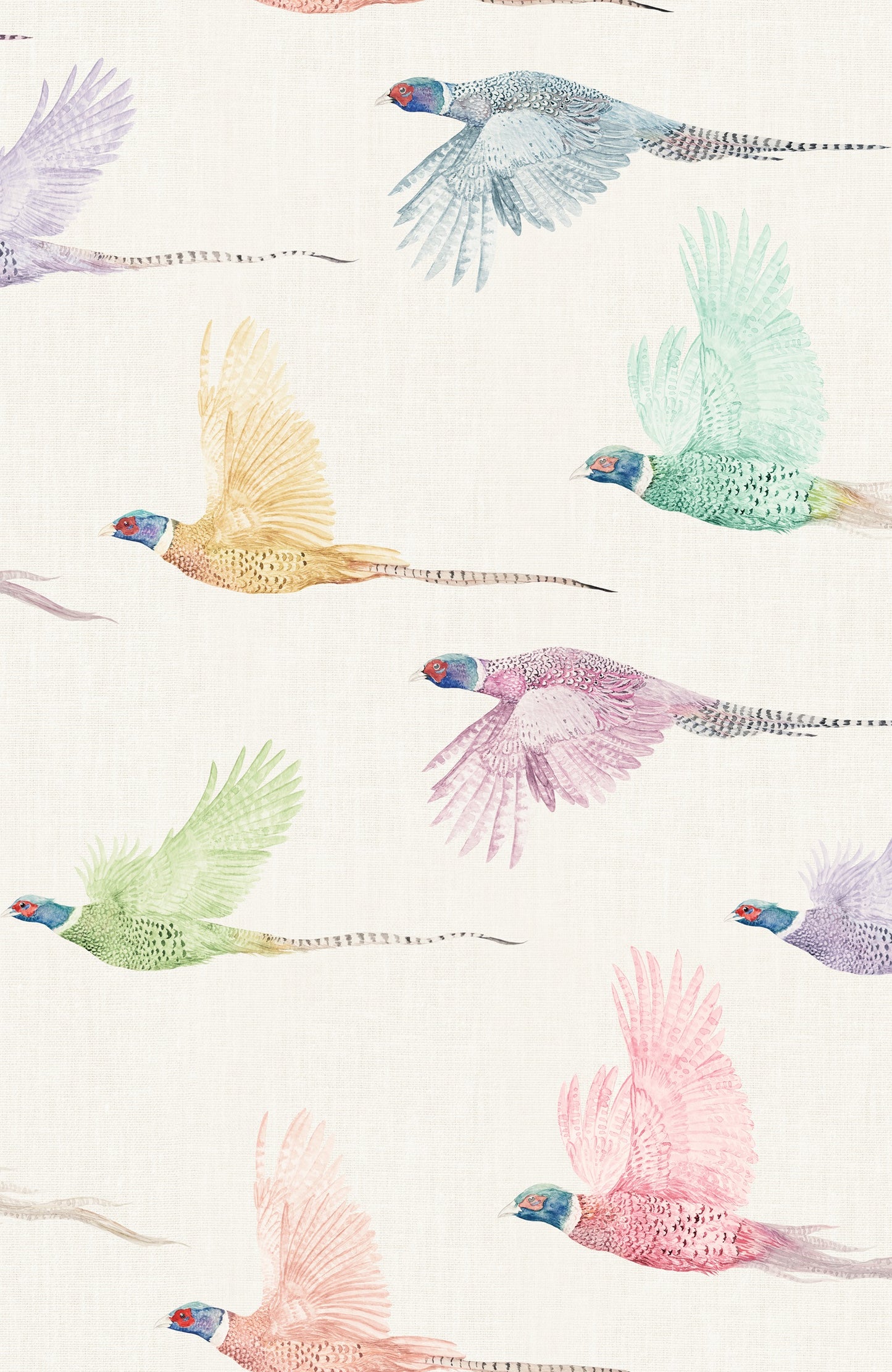 Flight - Pheasant Wallpaper