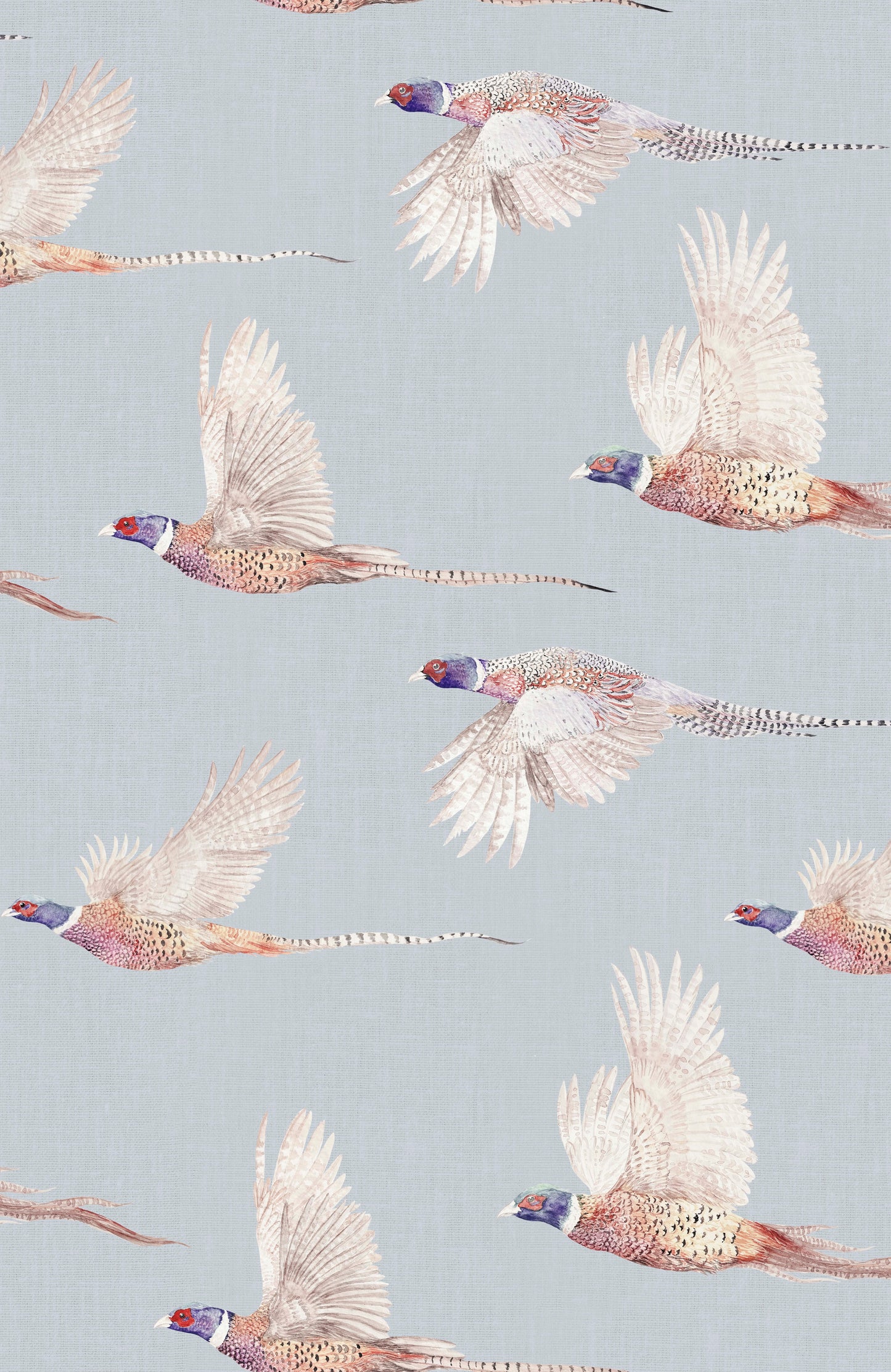 Flight - Pheasant Wallpaper
