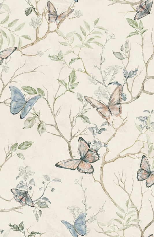 Papilio - Butterfly Wallpaper